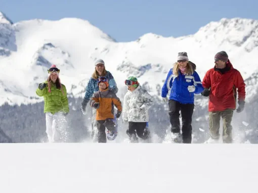Explore Winter Activities in Colorado Beyond the Ski Slopes