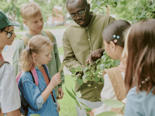 Summit County’s Sunny Future: Outdoor Learning Adventures Bloom! Summit County’s Sunny Future: Outdoor Learning Adventures Bloom!