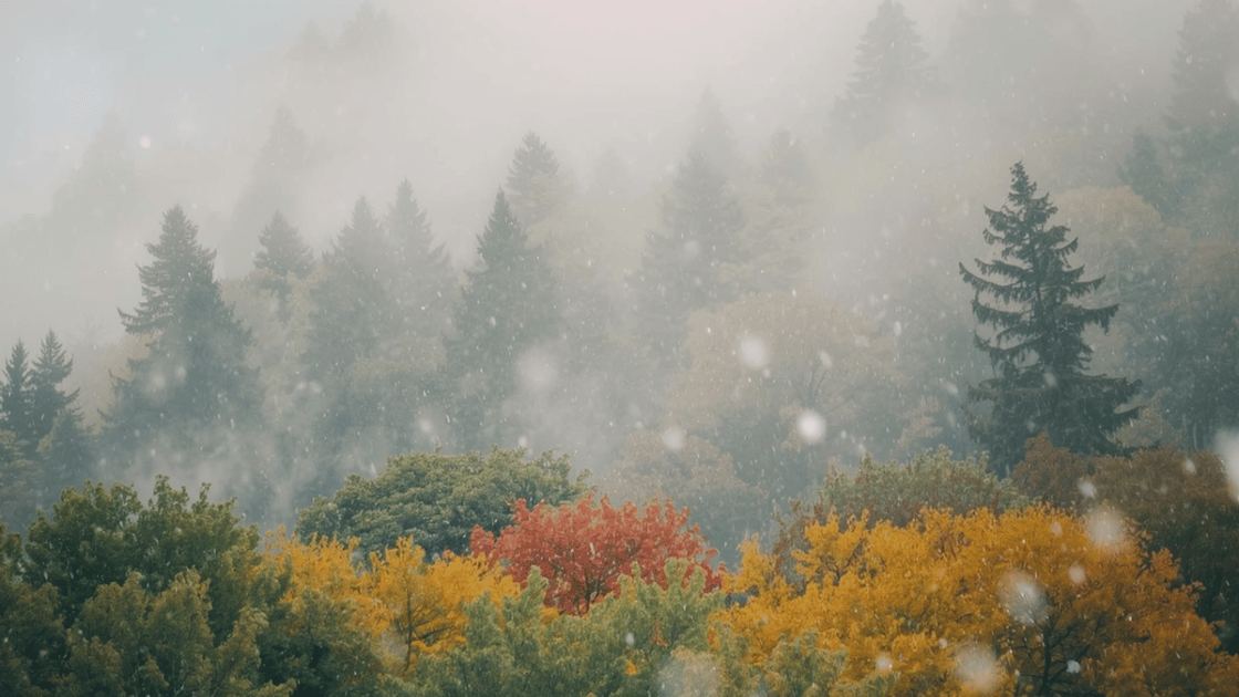 Colorado Summer Snow Storm