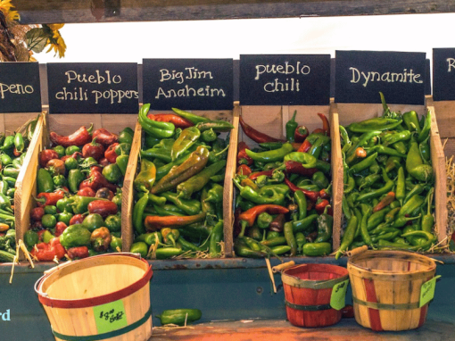 Pueblo: Your Southern Colorado Hub for Festivals, Fun & Fantastic Views!