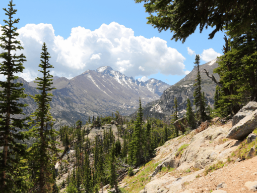 Stunning 5 Essential Beginner Hiking Trails Colorado 2026 Stunning 5 Essential Beginner Hiking Trails Colorado 2026