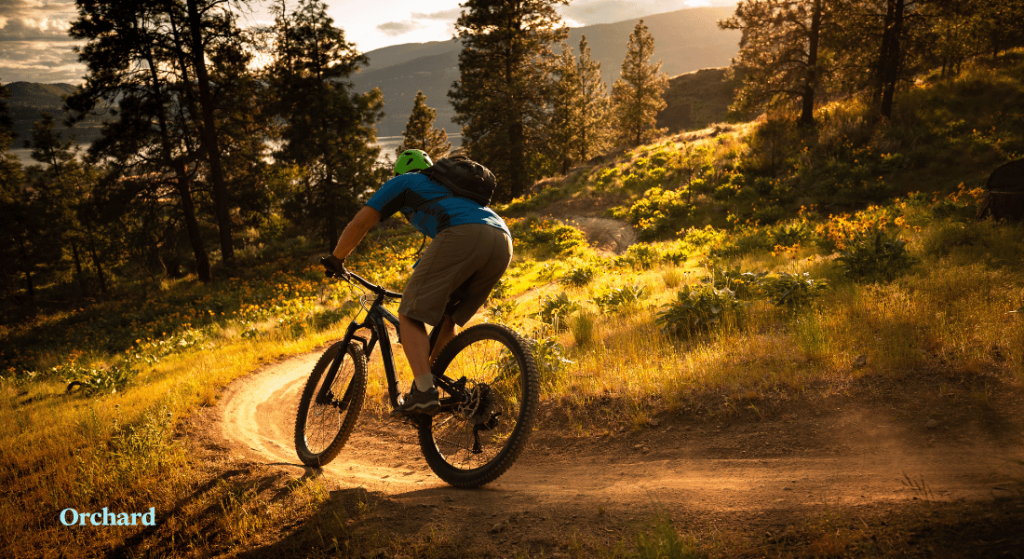 Cyclist climbing a scenic Colorado road biking trail through the mountains