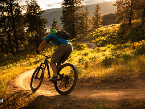 Mountain Biking Colorado: 5 Trail Adventures 2026